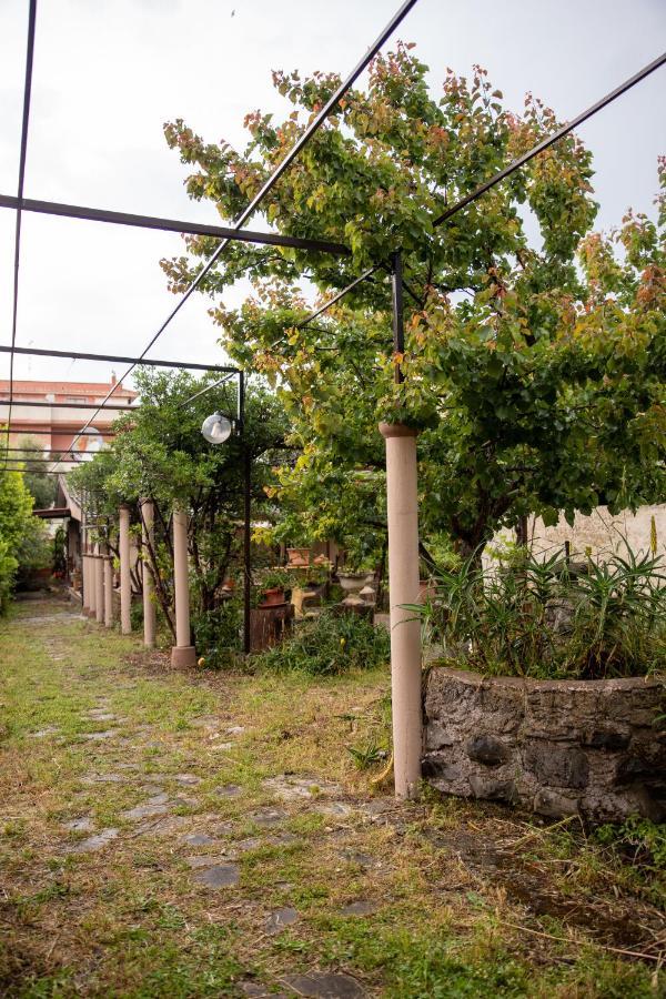 Suite Gli Ulivi Colonna Exterior foto